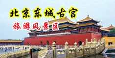 操进去操中国北京-东城古宫旅游风景区